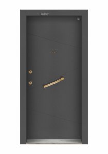 Kale D87 dinamik çelik kapı ön görünüm